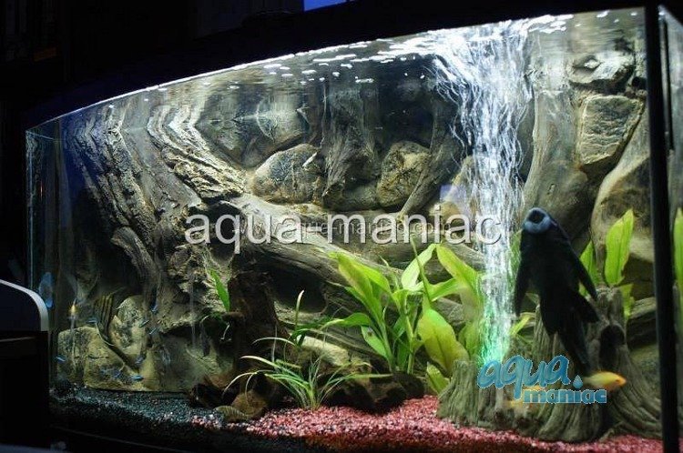 3d Fish Tank Background Flash Sales, GET 57% OFF, 