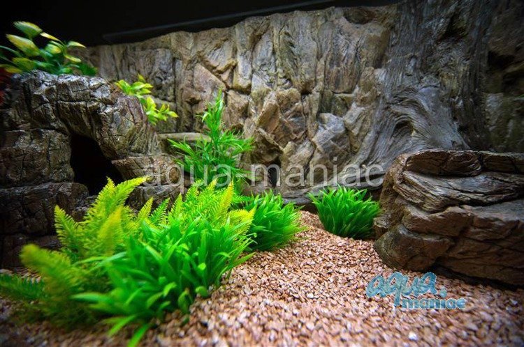 Aquarium Background 3D root and rock style back drop for fish tanks 100x40