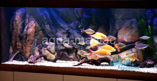 3D Amazon Background 209x56cm in 4 section to fit 7 foot by 2 foot tanks