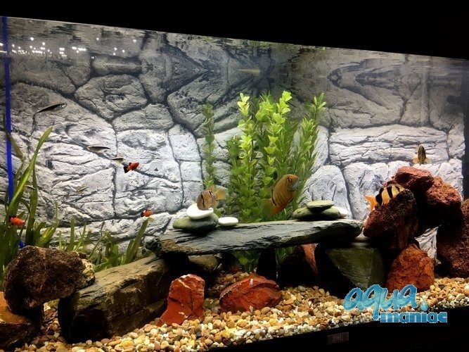3D Background Thin Grey Rock 77x54cm to fit Aqua Oak 145 Aquarium