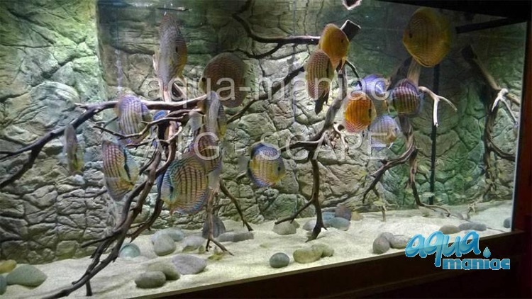 3D Background Thin Rock 97x45cm to fit Aqua Oak 110 Aquarium