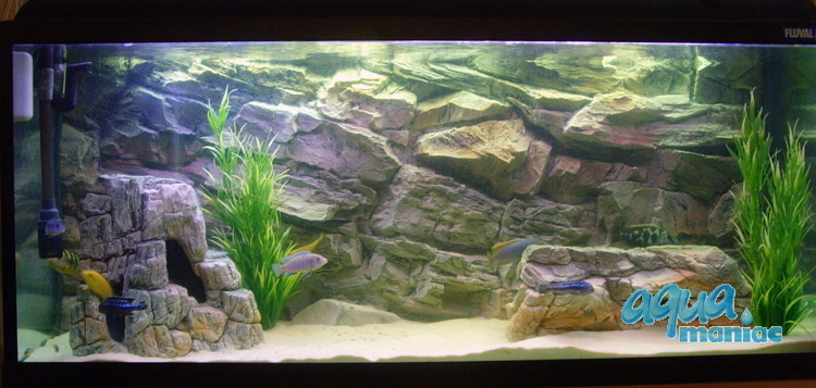 3D Rock Background 117x56cm in 2 section to fit 4 foot by 2 foot tanks