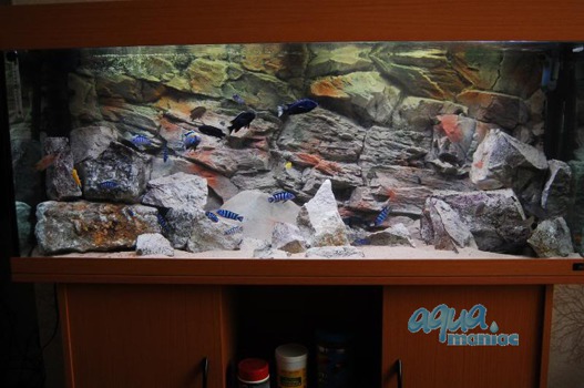 3D beige rock background 117x54cm in one piece