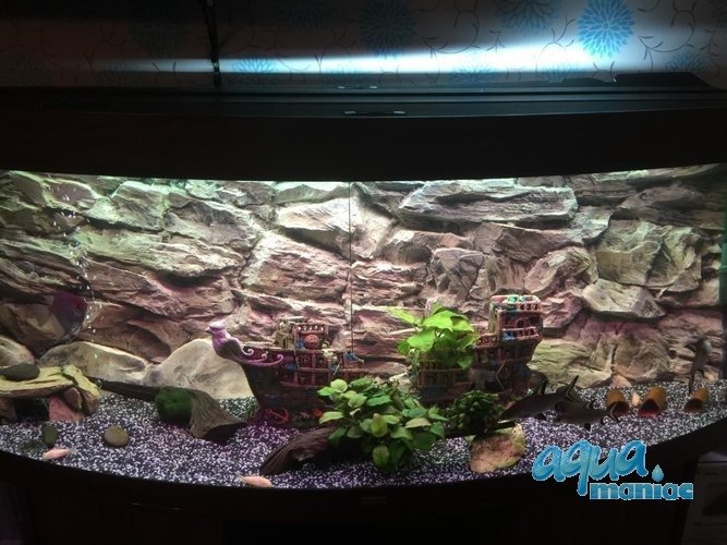 3D beige rock background 77x54cm to fit Aqua One 145 fish tank