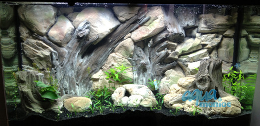3D root background 196x54cm
