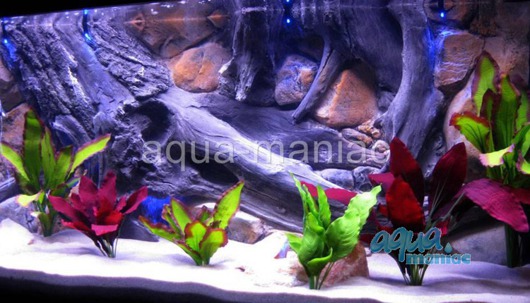 Fluval Roma 200 3D amazon background 97x45cm in 2 sections