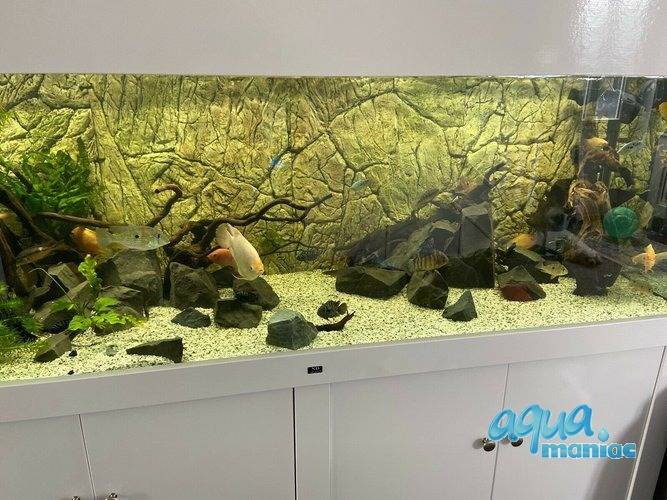 Fluval Vicenza 260 thin rock background 117x52 cm 2 sections