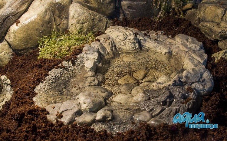 Terrarium Pool for reptiles - large