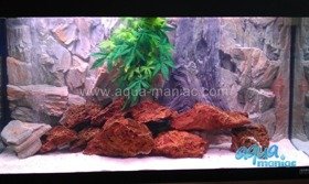 3D Rock Root Background 117x56cm in 2 section to fit 4 foot by 2 foot tanks