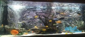 3D grey rock background 77x53cm to fit Aqua One 145 fish tank