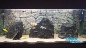 Fluval Roma 200 thin grey rock background 97x45cm 2 sections