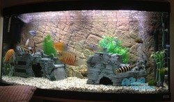 Fluval Roma 240 thin rock background 117x45cm 2 sections