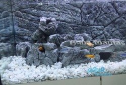 JUWEL Vision 450 3D thin grey rock background 148x56cm in 3 sections